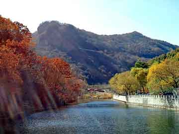 澳门二四六天天彩图库，免杀木马